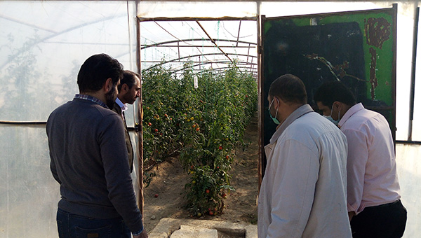 مزایای بلوک هبلکس